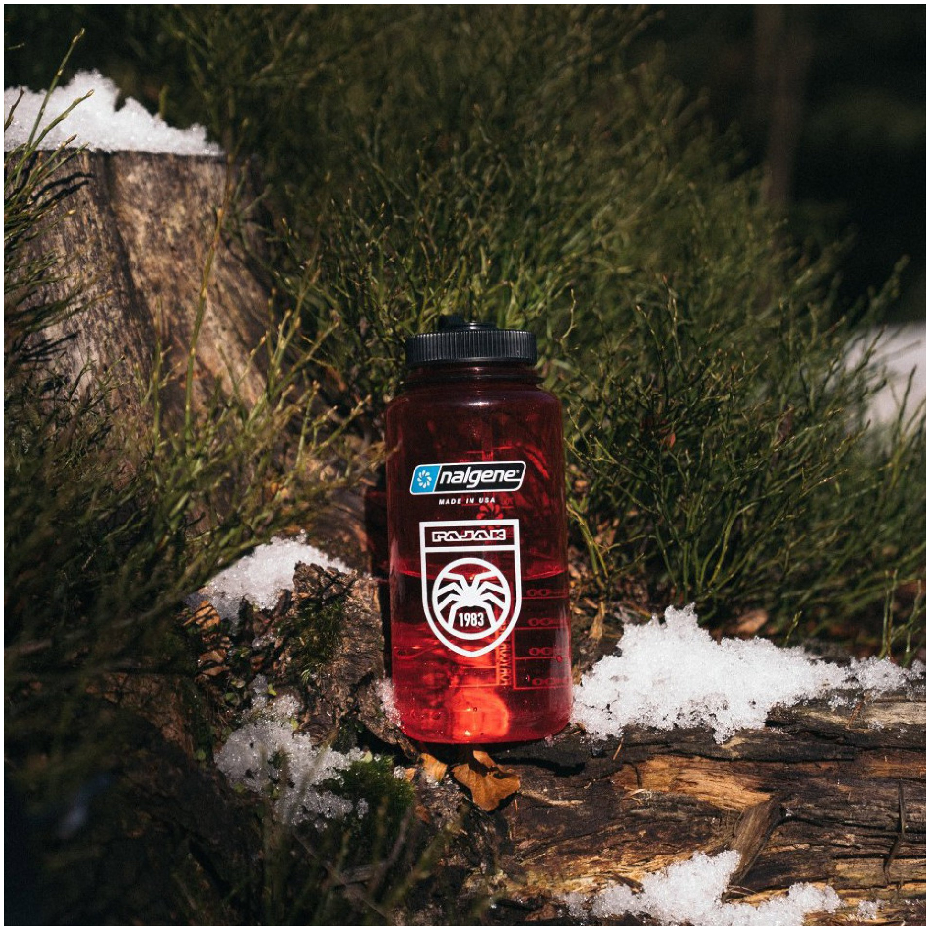 Water bottle - 1L Bottle