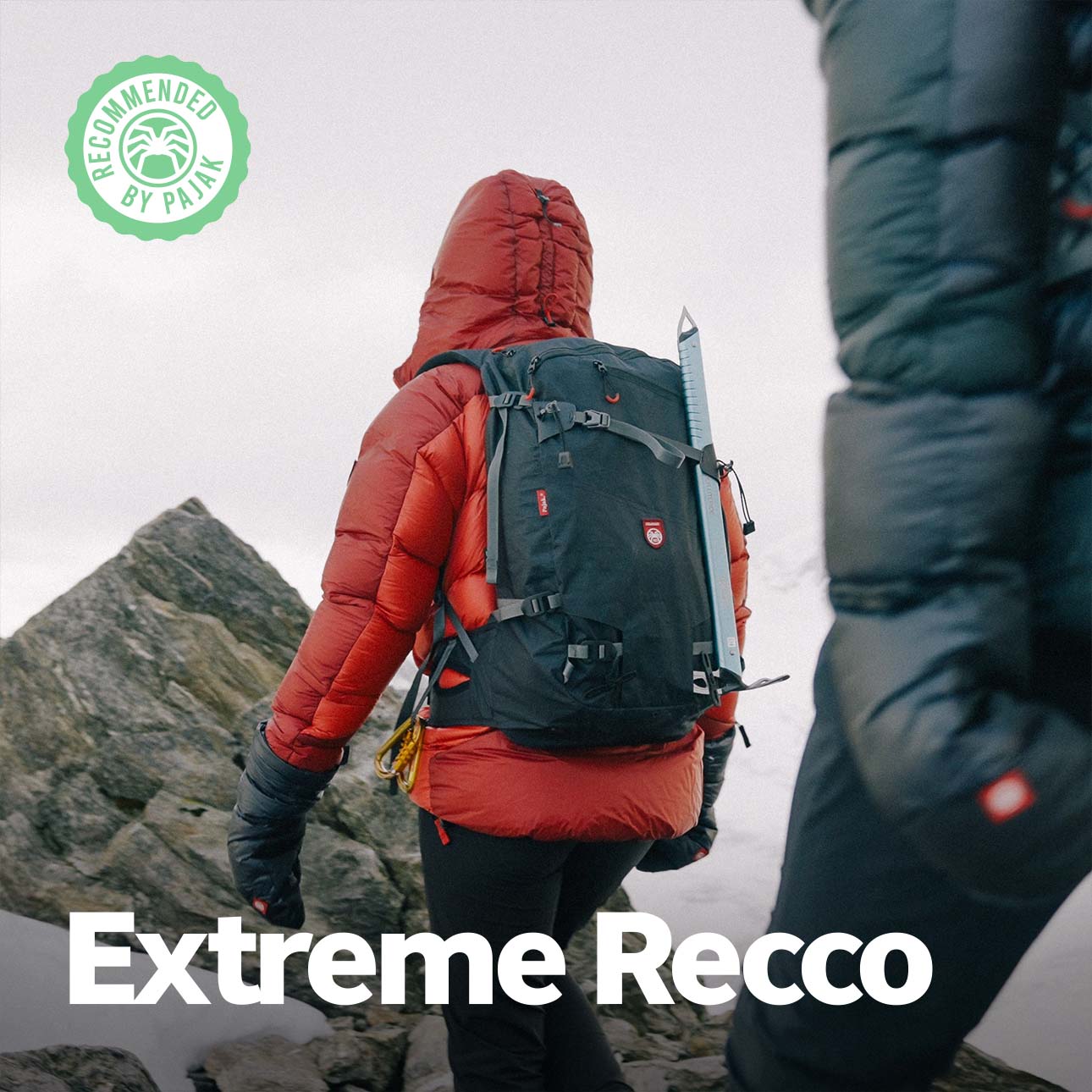 Ski touring backpack - Extreme Recco