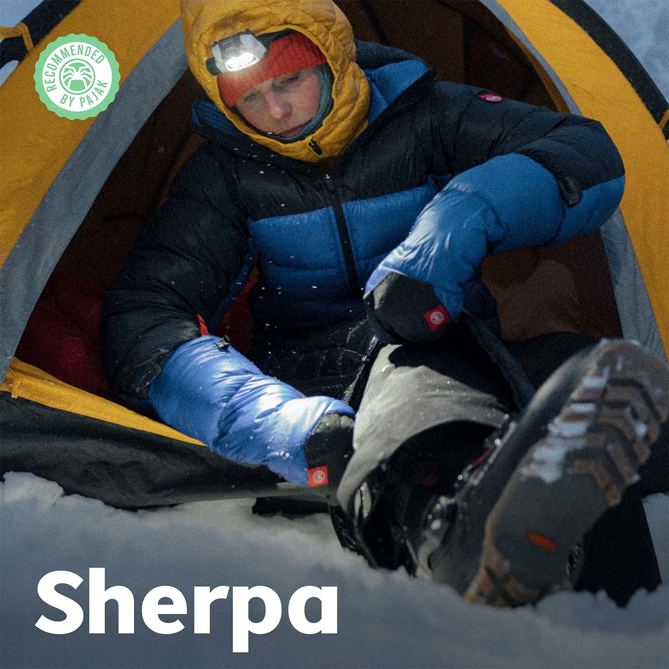 Sherpa - Down mittens